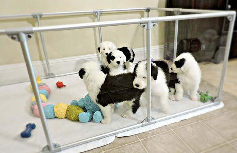 27" Tall Large Lucidium Pet Pen