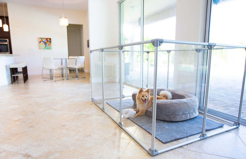36" (91 cm) Tall Large Lucidium Pet Pen.