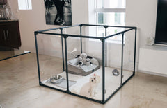 36" (91 cm) Tall Medium Lucidium Pet Pen.