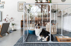 36" (91 cm) Tall Medium Lucidium Pet Pen.