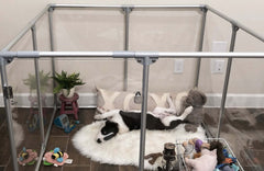 36" (91 cm) Tall Medium Lucidium Pet Pen.