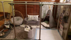 36" Tall Large Lucidium Pet Pen