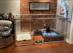 36" Tall Large Lucidium Pet Pen, WHITE - (Unused Return)
