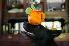 P.L.A.Y. Barktender Toy Set