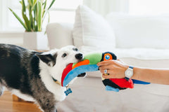 P.L.A.Y. Fetching Flock Toy Set