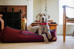 P.L.A.Y. Houndstooth Lounge Beds