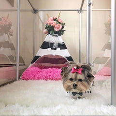 27" Tall Small Lucidium Pet Pen