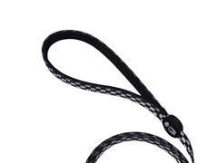 Dog Leash