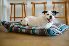 P.L.A.Y. Horizon Pillow Beds