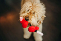 P.L.A.Y. Puppy Love Toy Set