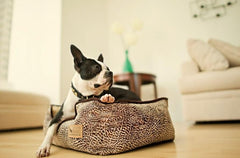 P.L.A.Y. Savannah Lounge Beds