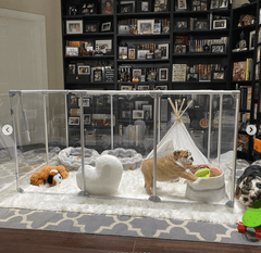 36" Tall Large Lucidium Pet Pen