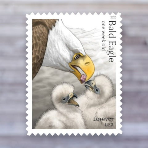 2026 Bald Eagle: Hatchling to Adult Forever Postage Stamps – First-Class Mail, Sheet