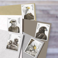 2026 Bald Eagle: Hatchling to Adult Forever Postage Stamps – First-Class Mail, Sheet