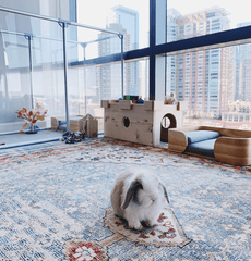 36" (91 cm) Tall Medium Lucidium Pet Pen.