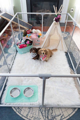 27" (69 cm) Tall Large Lucidium Pet Pen.