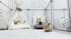 27" (69 cm) Tall Large Lucidium Pet Pen.